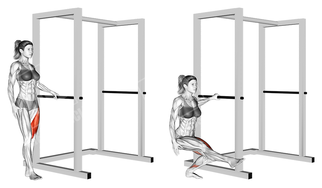 One leg pistol squat with support