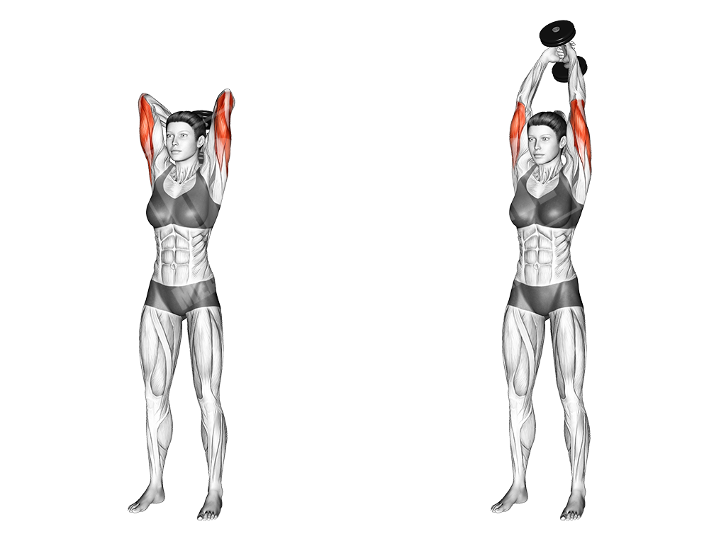 overhead dumbbell triceps extension female