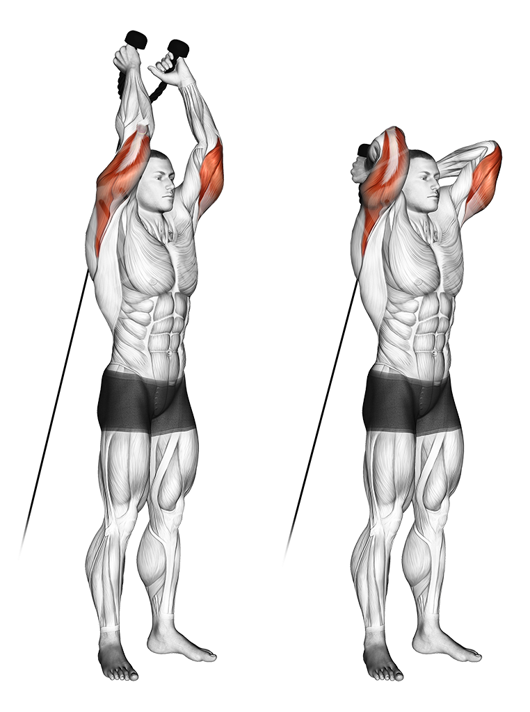 overhead rope tricep extension