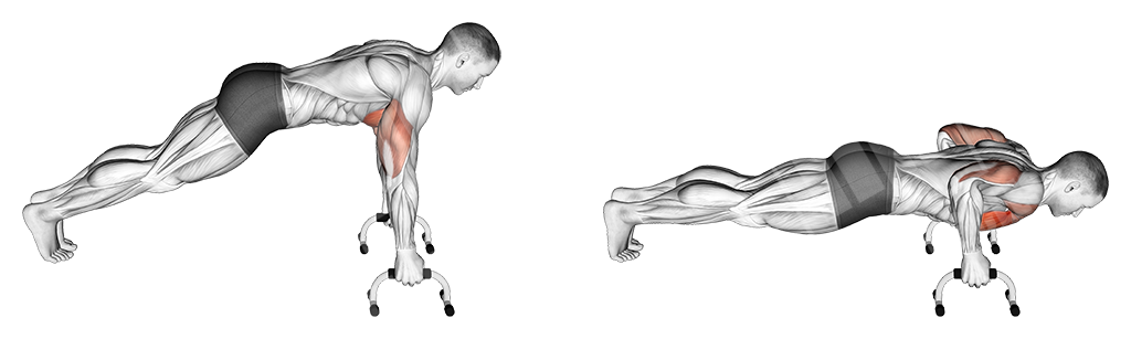 Pushup with handles