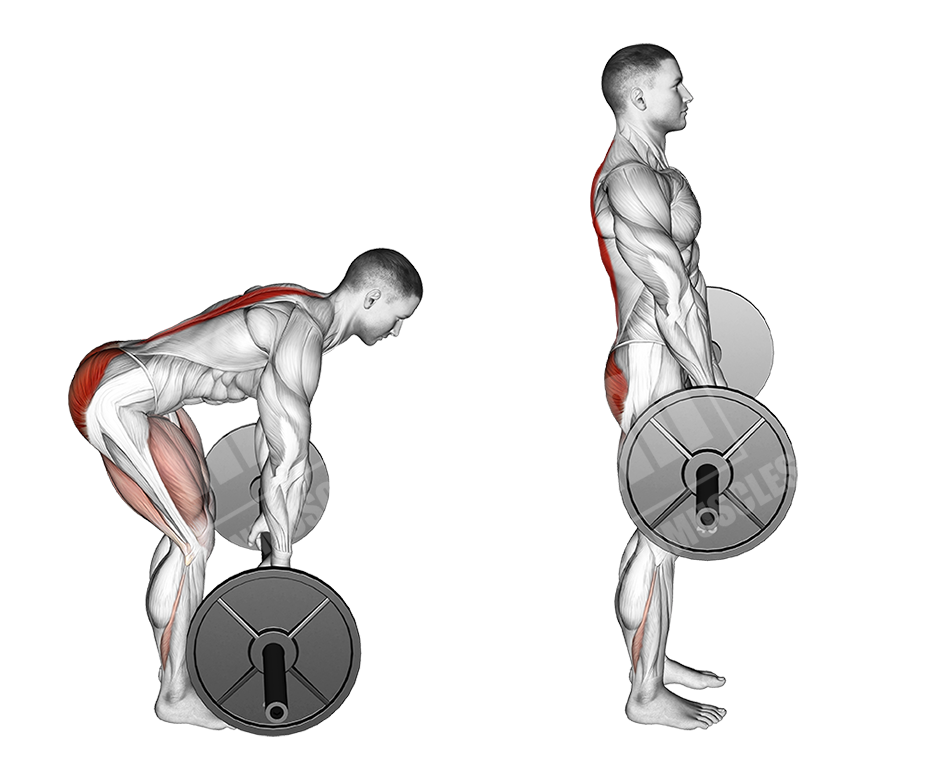 Barbell rack pulls