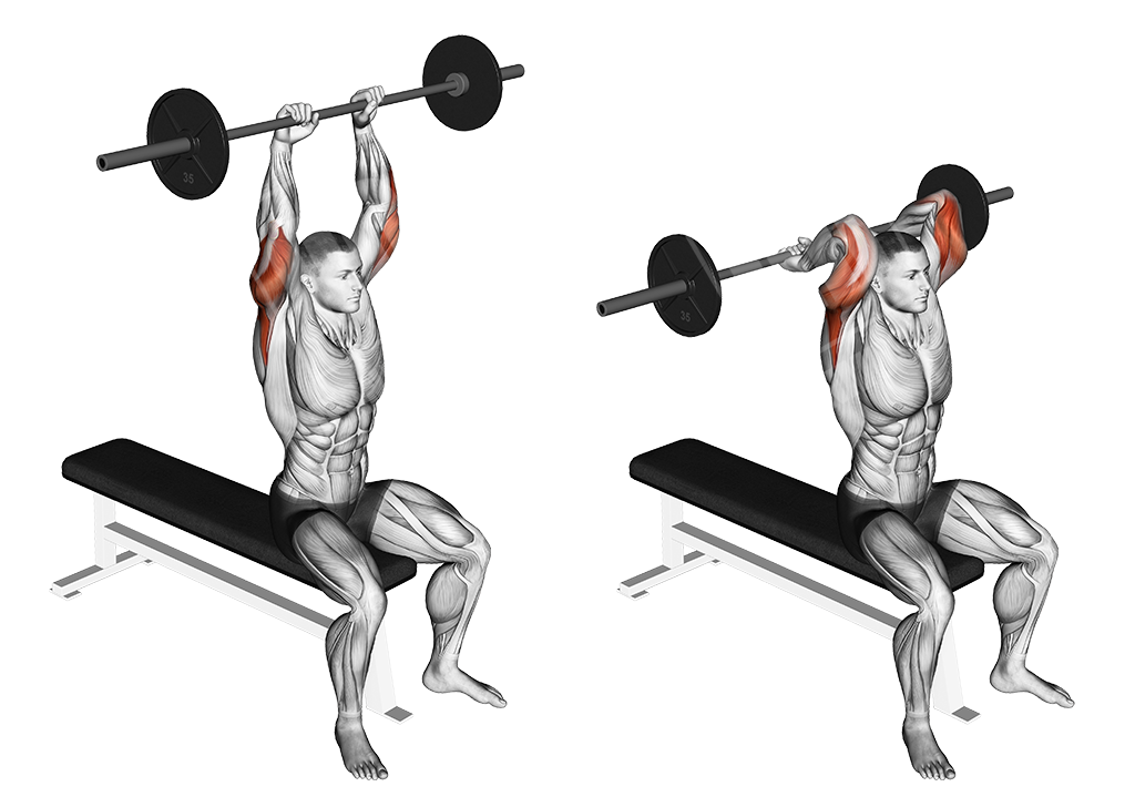 seated overhead barbell triceps extension