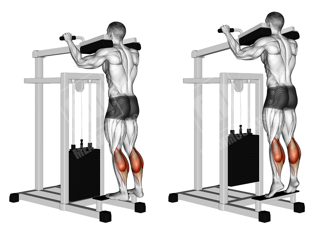 Standing calf raises