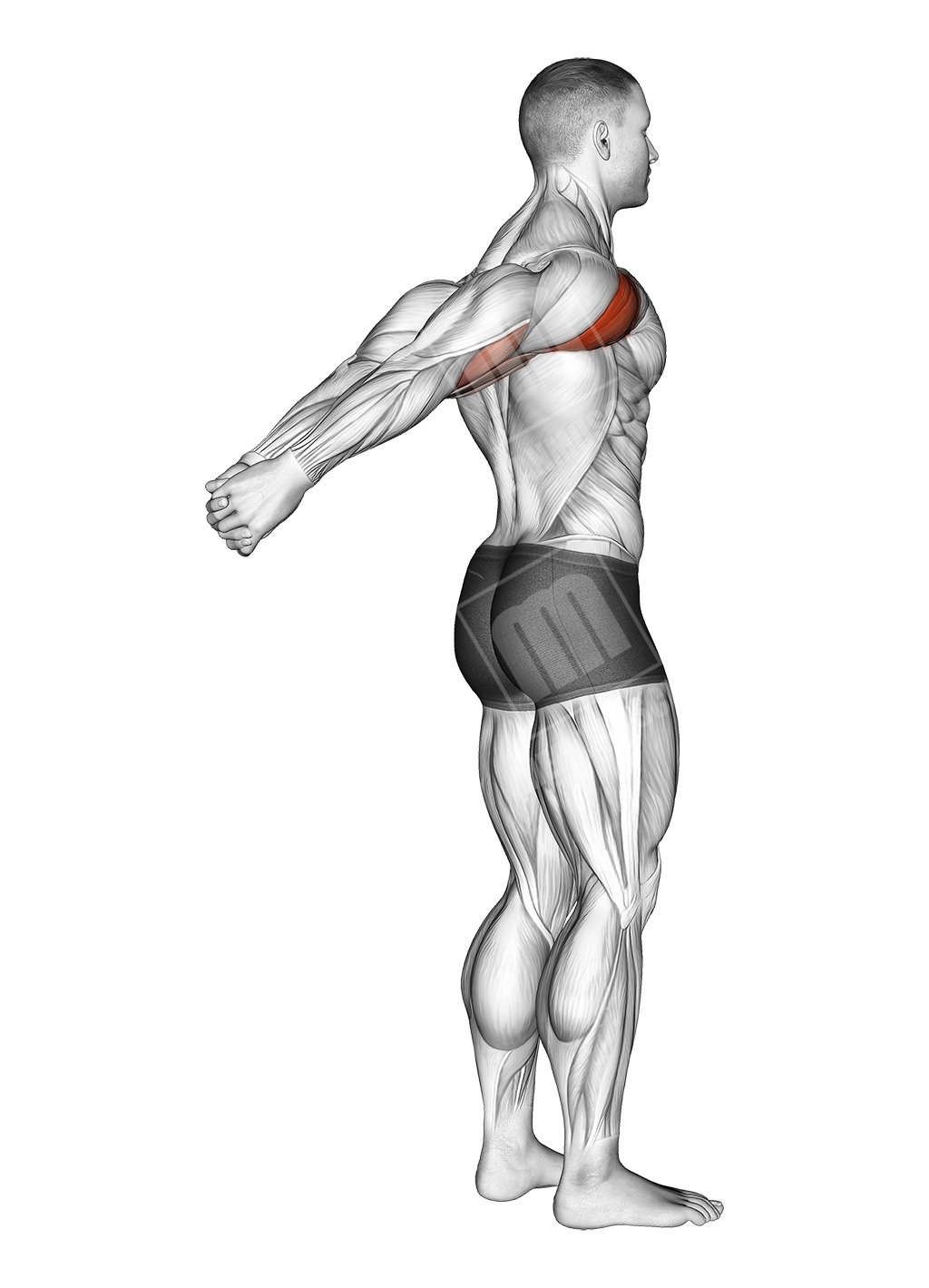 standing reverse shoulder stretch