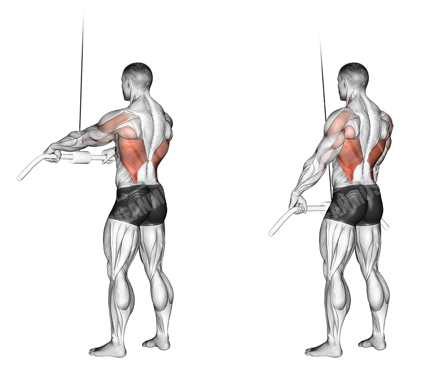 straight arm cable pull-down