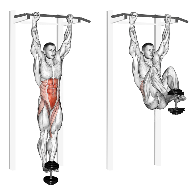 weighted hanging leg hip raise