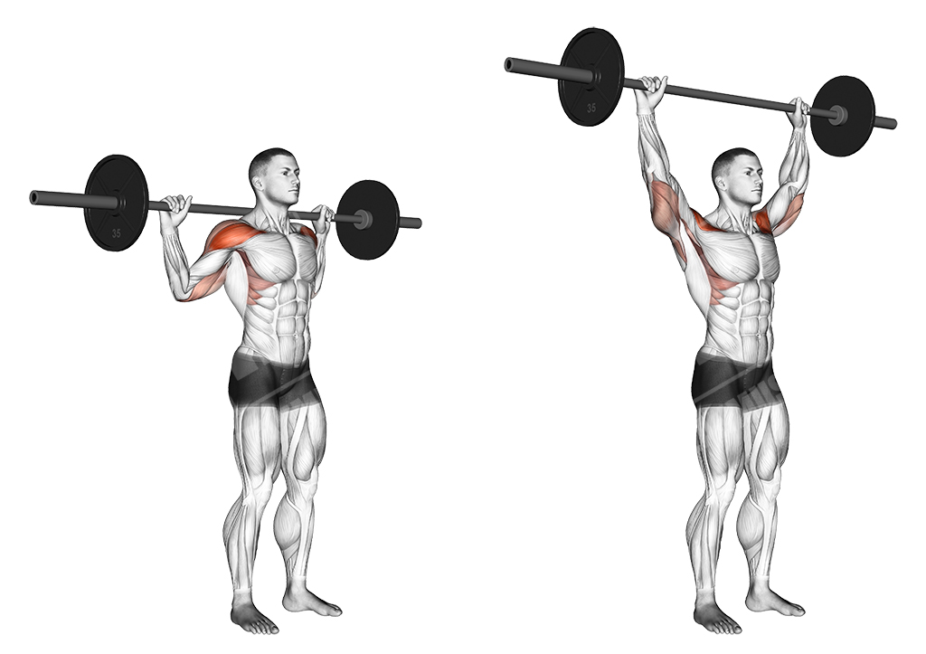 Overhead Press