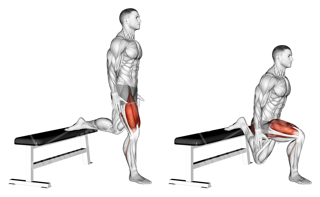 Bulgarian Split Squat