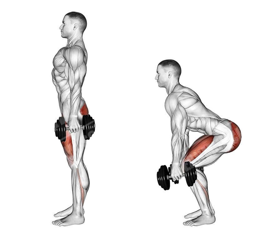 Dumbbell Squat