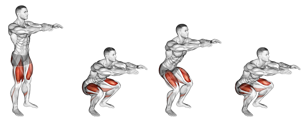 The Pulse Squat